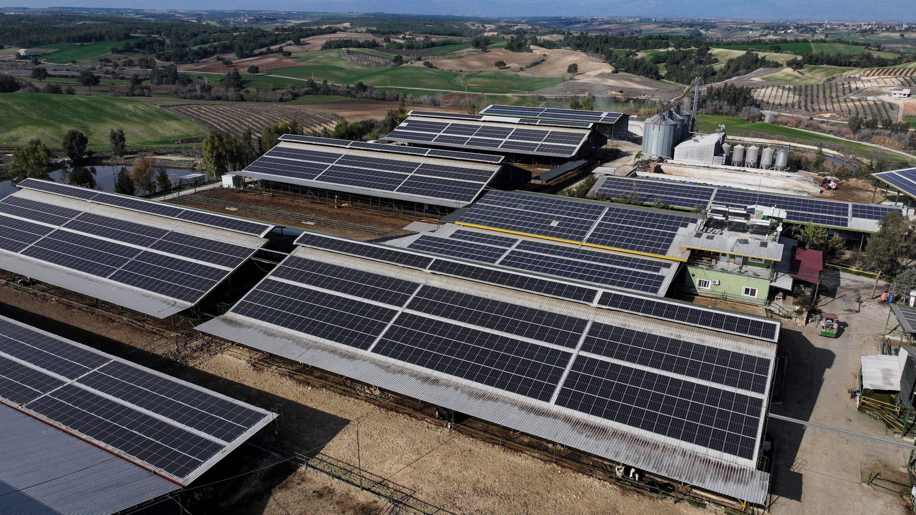 A general view of solar panels installed at a farm in southern Adana province, Türkiye, Jan. 14, 2025. (AA Photo)