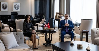 Foreign Minister Hakan Fidan (R) meets with Georgian Foreign Minister Maka Botchorishvili, Ankara, Türkiye, Feb. 26, 2025. (AA Photo)