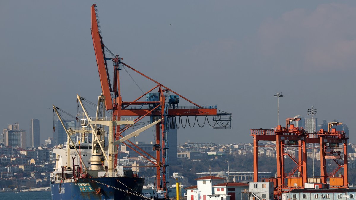 Türkiye’s trade deficit widens to .5B in January