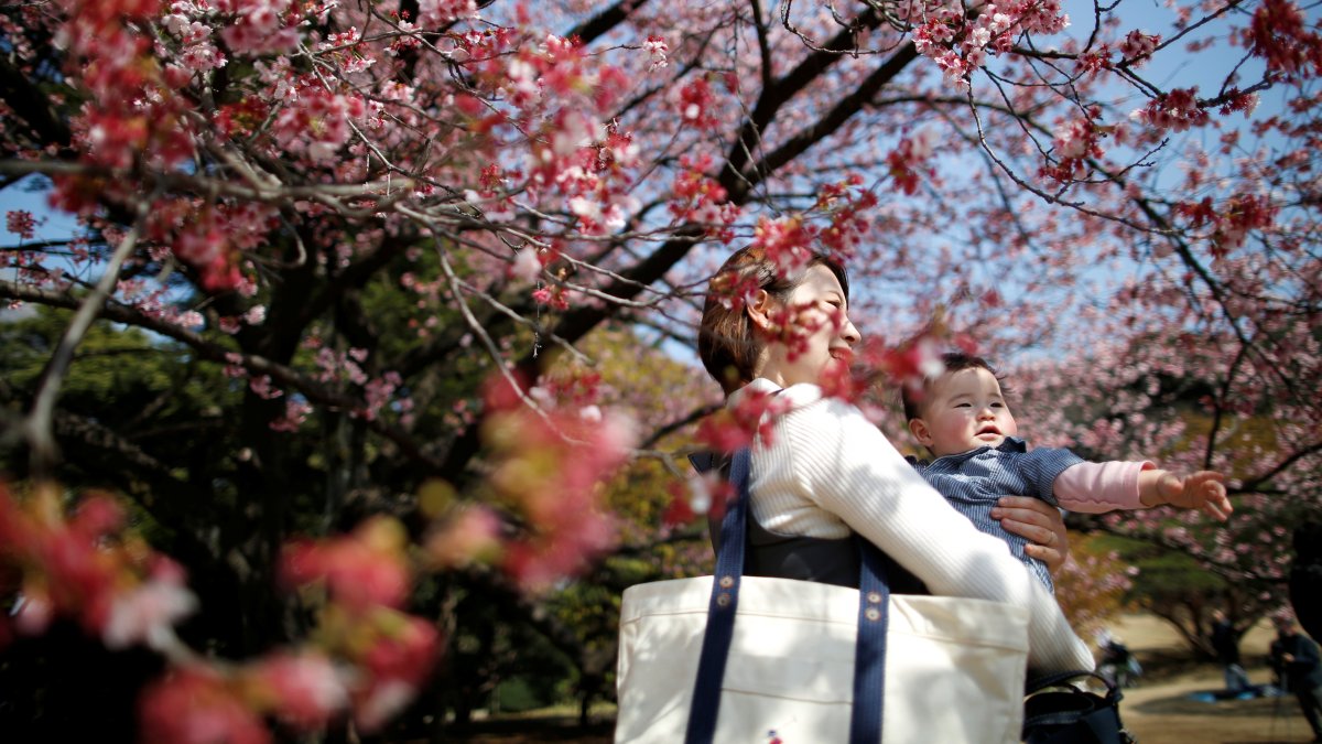 A 7-month-old baby and her mother look at early flowering Kanzakura cherry blossoms in Tokyo, Japan, March 14, 2018. (Reuters Photo)