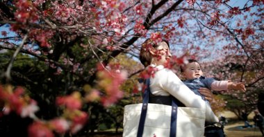A 7-month-old baby and her mother look at early flowering Kanzakura cherry blossoms in Tokyo, Japan, March 14, 2018. (Reuters Photo)