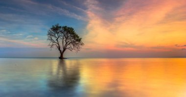 A person&#039;s journey to self-knowledge is never complete. (Shutterstock Photo)