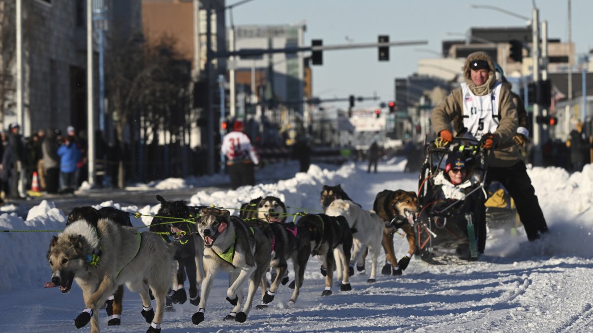 Mats Pettersson from Sweden makes the corner onto Cordova Street during the Iditarod Trail Sled Dog Race ceremonial start, Anchorage, Alaska, March 2, 2024. (AP Photo)