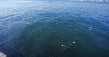 A view from the seaside in the Çengelköy neighborhood shows the polluted Bosporus in Istanbul’s Üsküdar district, Türkiye, March 10, 2025. (AA Photo)