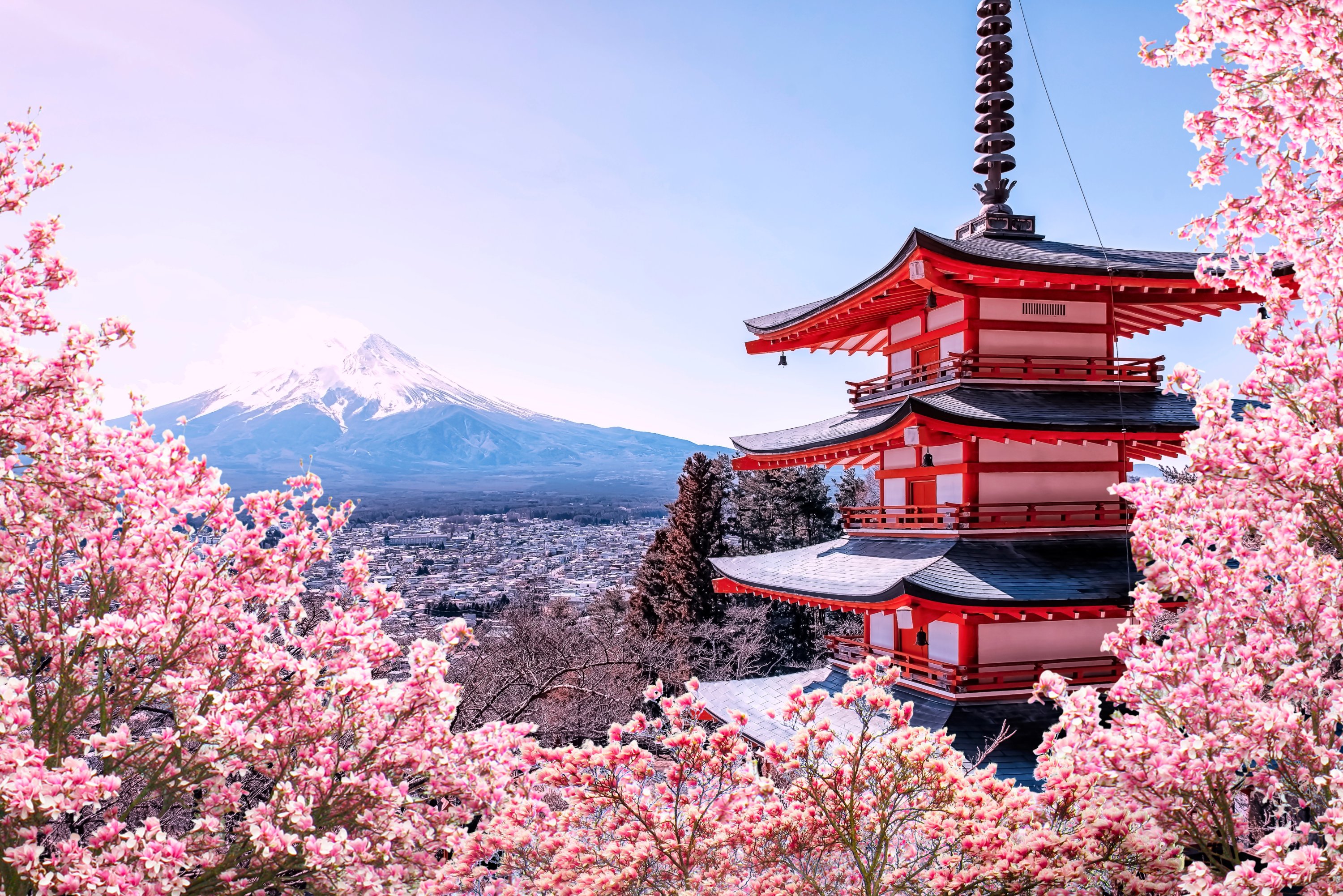 Best Time To Visit Japan To See Cherry Blossom Foto Blackdragontours Best Time To Visit Japan To See Cherry Blossom Foto Blackdragontours