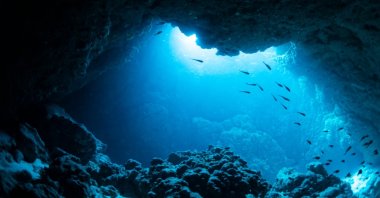 Rays of sunlight enter an underwater cave. (Shutterstock Photo)