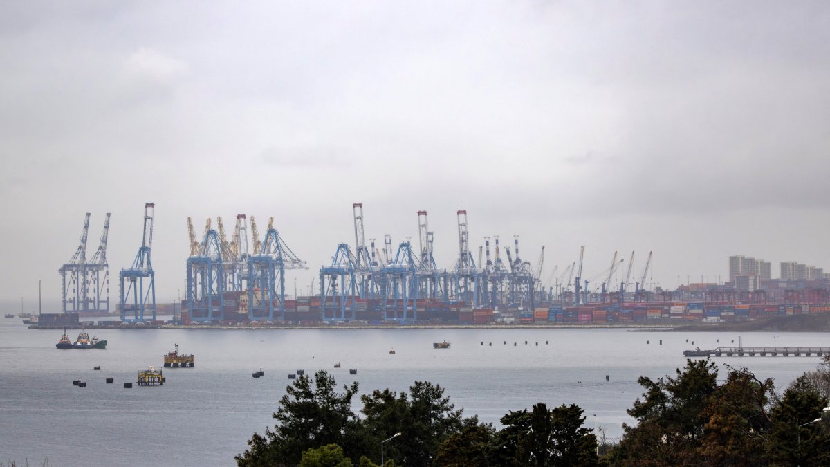Container cranes are seen at the Ambarlı Port in Istanbul, Türkiye, Feb. 17, 2025. (Reuters Photo)