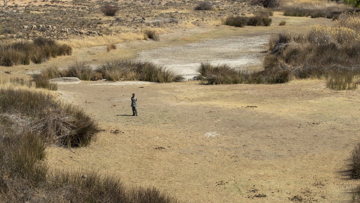 A shepherd stands in the dry riverbed at Colesberg, Northern Cape, South Africa, Sept. 24, 2021. (AP Photo)