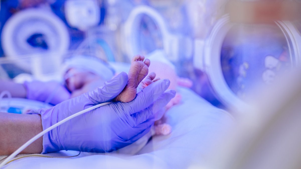 The newborn quintuplets are receiving specialized care in the neonatal intensive care unit. (Shutterstock Photo)