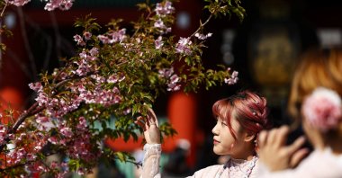 A visitor poses for a photograph next to early-flowering cherry blossoms near Sensoji temple in the Asakusa district, a popular sightseeing spot, Tokyo, Japan, March 10, 2025. (Reuters Photo)