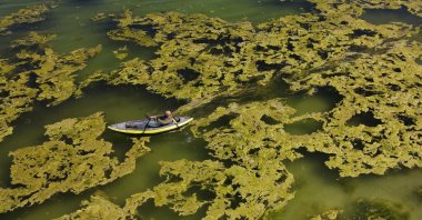Microbialites, known as &quot;underwater fairy chimneys,&quot; emerge along Lake Van&#039;s shoreline due to seasonal changes, Van, Türkiye, March 21, 2025. (AA Photo)