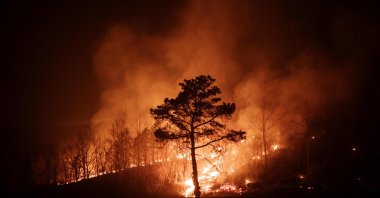 A wildfire spreads through Andong forests, South Korea, March 26, 2025. (AFP Photo)