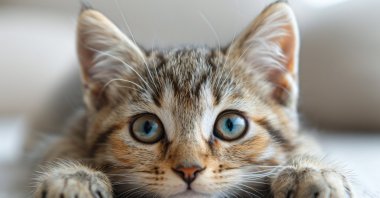 The word &quot;gigil,&quot; used in the Philippines to describe the intense feeling awakened when something is excessively cute, has been added to the Oxford English Dictionary. (Shutterstock Photo)