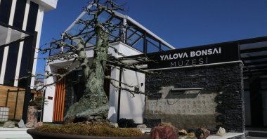 The entrance of the Yalova Bonsai Museum, Yalova, Türkiye, March 13, 2025. (AA Photo)