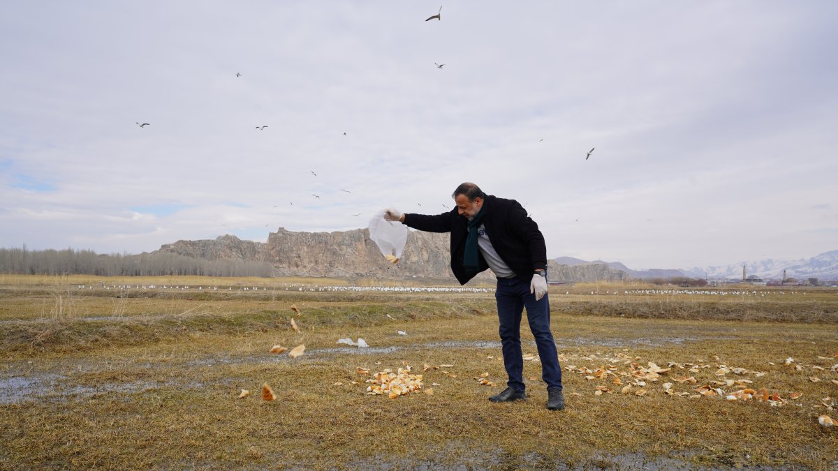 Hamza Zariç feeds birds with leftover bread at the shores of Lake Van, Van, Türkiye, April 4, 2025. (DHA Photo)