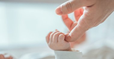 The World Health Organization (WHO) has announced the theme for World Health Day on April 7, 2025, as &quot;Maternal and Newborn Health.&quot;