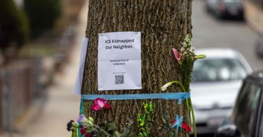 Signage and flowers are placed on a tree next to where ICE agents apprehended Rümeysa Öztürk, in Somerville, Massachusetts, U.S., March 28, 2025. (AFP Photo(