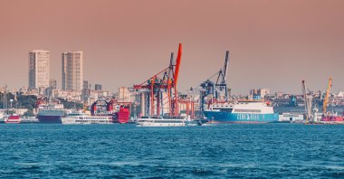 Cranes and ships are seen at a port in Istanbul, Türkiye, July 8, 2024. (Shutterstock Photo)