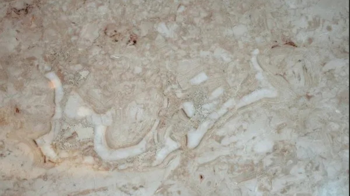 Ancient inscription discovered on 230-million-year-old slab | Daily Sabah