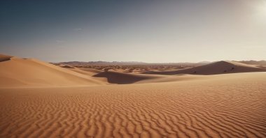 Recent research suggested the so-called Empty Quarter, the vast desert of the Arabian Peninsula, had been in place for at least 11 million years, making it one of the largest biogeographic barriers on Earth. (Shutterstock Photo)