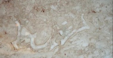 The report also emphasized that the figures forming the Arabic word &quot;Bismillah&quot; on the slab were formed completely &quot;normally&quot; in nature and were a part of the original texture of the stone. (Sabah Photo)