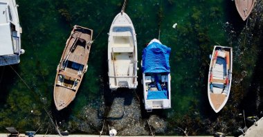 Layers of mucilage float on the surface of the Marmara Sea in the Beykoz district, Istanbul, Türkiye, April 13, 2025. (DHA Photo)