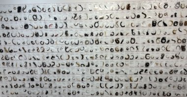 Strands of hair from across the globe, symbolizing solidarity with women, are on display at Atelier Jolie, New York City, U.S., April 8, 2025. (Photo by Funda Karayel)