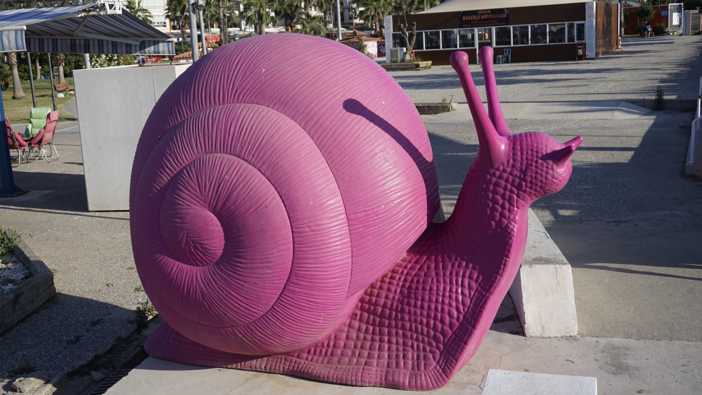 Journey of a snail: Embracing sustainable lifestyle in Cittaslow