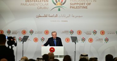 President Recep Tayyip Erdoğan is seen speaking to parliamentarian groups supporting Palestine, Istanbul, Türkiye, April 18, 2025 (AA Photo)