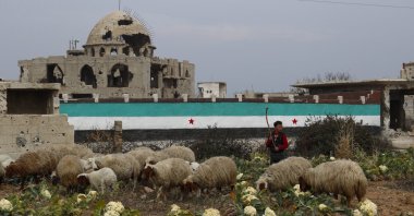 A boy tends to a flock of sheep beside a wall featuring a newly painted Syrian flag, eastern Ghouta, outskirts of Damascus, Syria, Feb. 9, 2025. (AP Photo)