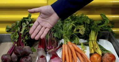 Raw ingredients used to make coloring are displayed at Sensient Technologies Corp., a color additive manufacturing company, St. Louis, U.S., April 2, 2025. (AP Photo)