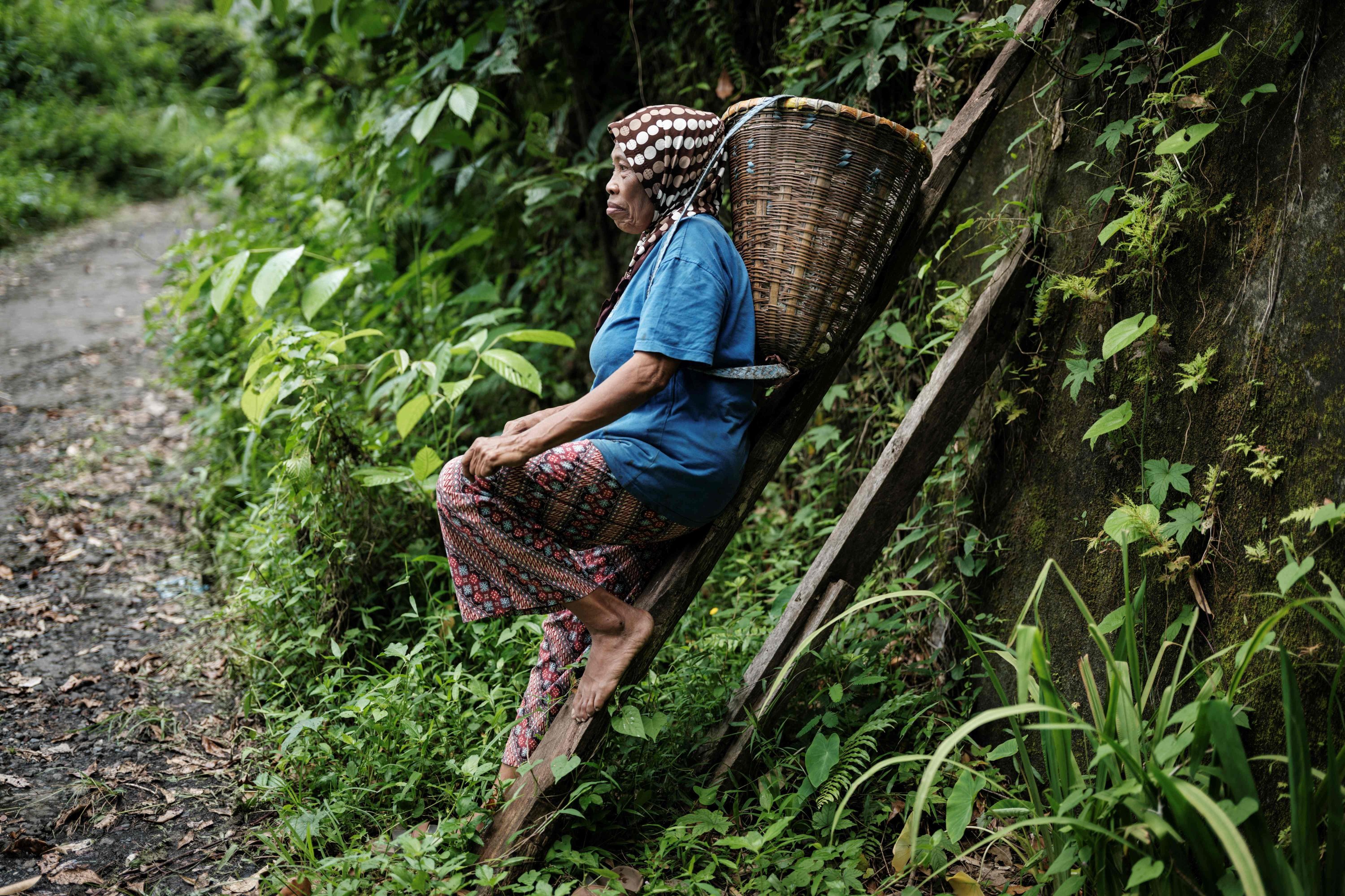 This photo shows Imba, a clove farmer who inherited 70 trees from her parents, resting, Ternate, North Maluku, Indonesia, April 11, 2025. (AFP Photo)