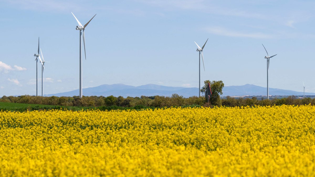Wind turbines used to generate electricity are seen in Burgos, northern Spain, April 29, 2025. (AFP Photo)