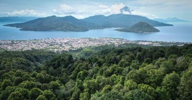 This photo shows an aerial view of a forest area with clove trees, Ternate, North Maluku, Indonesia, April 11, 2025. (AFP Photo)