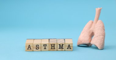 Factors such as pollen, cigarette smoke, air pollution and stress can trigger asthma symptoms. (Shutterstock Photo)