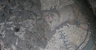 An aerial view of the mosaic newly discovered during an illegal excavation in Zile, Tokat, Türkiye, May 7, 2025. (AA Photo)