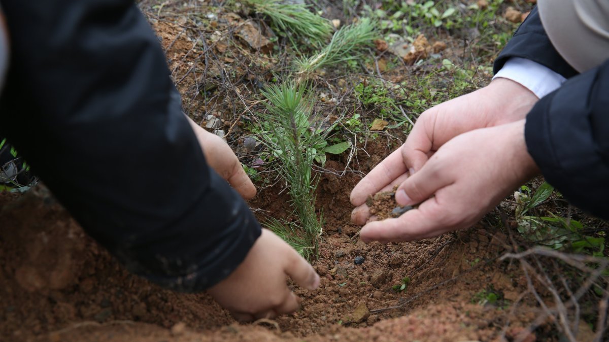 People plant a sapling during the Humanitarian Relief Foundation's (IHH) “One Sapling for Every Orphan” campaign in Türkiye, May 15, 2025. (AA Photo)