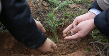 People plant a sapling during the Humanitarian Relief Foundation&#039;s (IHH) “One Sapling for Every Orphan” campaign in Türkiye, May 15, 2025. (AA Photo)