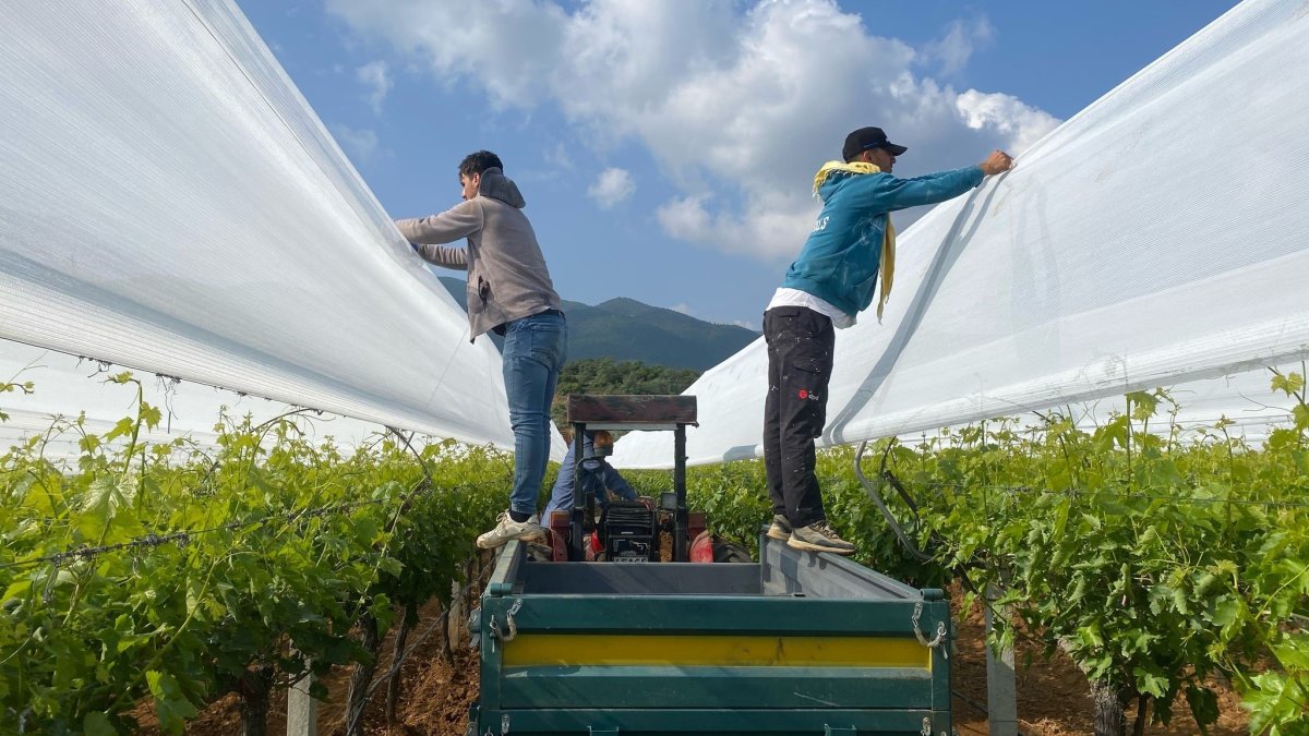 Turkish Parliament to prepare measures package against agro frost