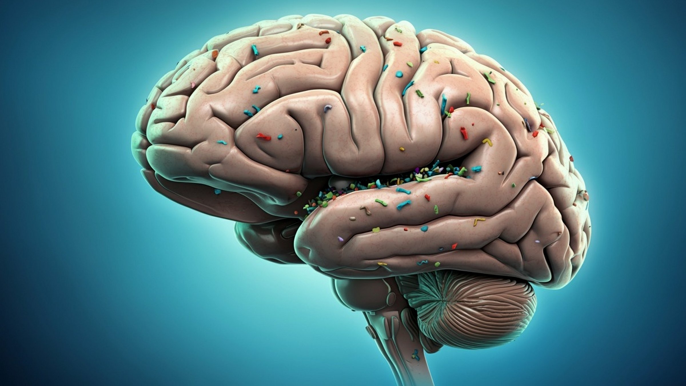 Brain microplastic levels jump 50% in 8 years, warns new study