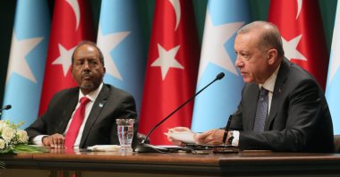 President Recep Tayyip Erdoğan speaks at a joint press conference with his Somali counterpart Hassan Sheikh Mohamud, Ankara, Türkiye, July 6, 2022. (AA Photo)