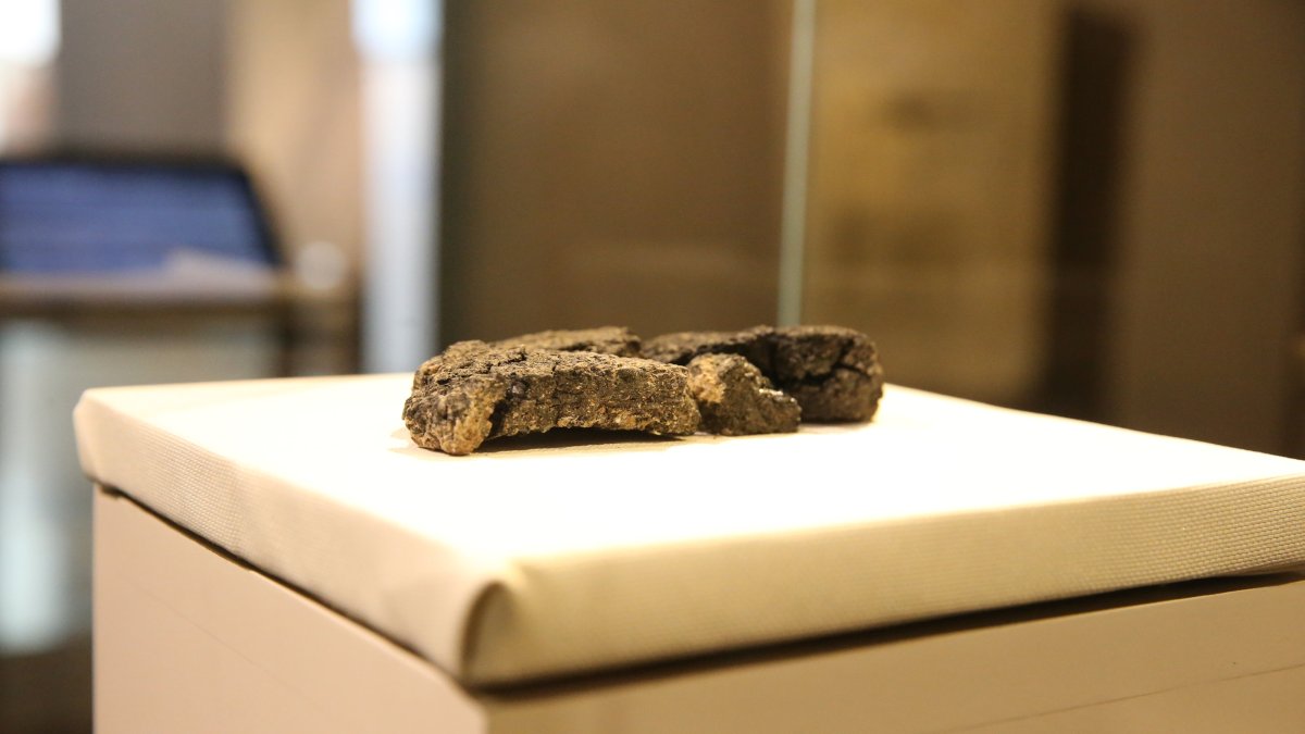 The 5,000-year-old &quot;Küllüoba bread,&quot; unearthed during the ongoing excavations at the Küllüoba Mound in Eskişehir’s Seyitgazi district since 1996, on display at the ETI Archaeology Museum, May 21, 2025. (AA Photo)
