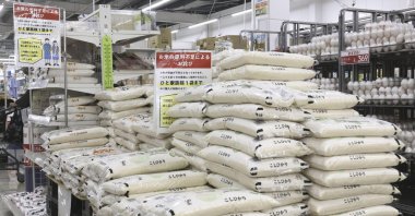 Large bags of several varieties of rice are sold at a supermarket in Hyuga, Miyazaki prefecture, Japan, May 19, 2025. (AP Photo)