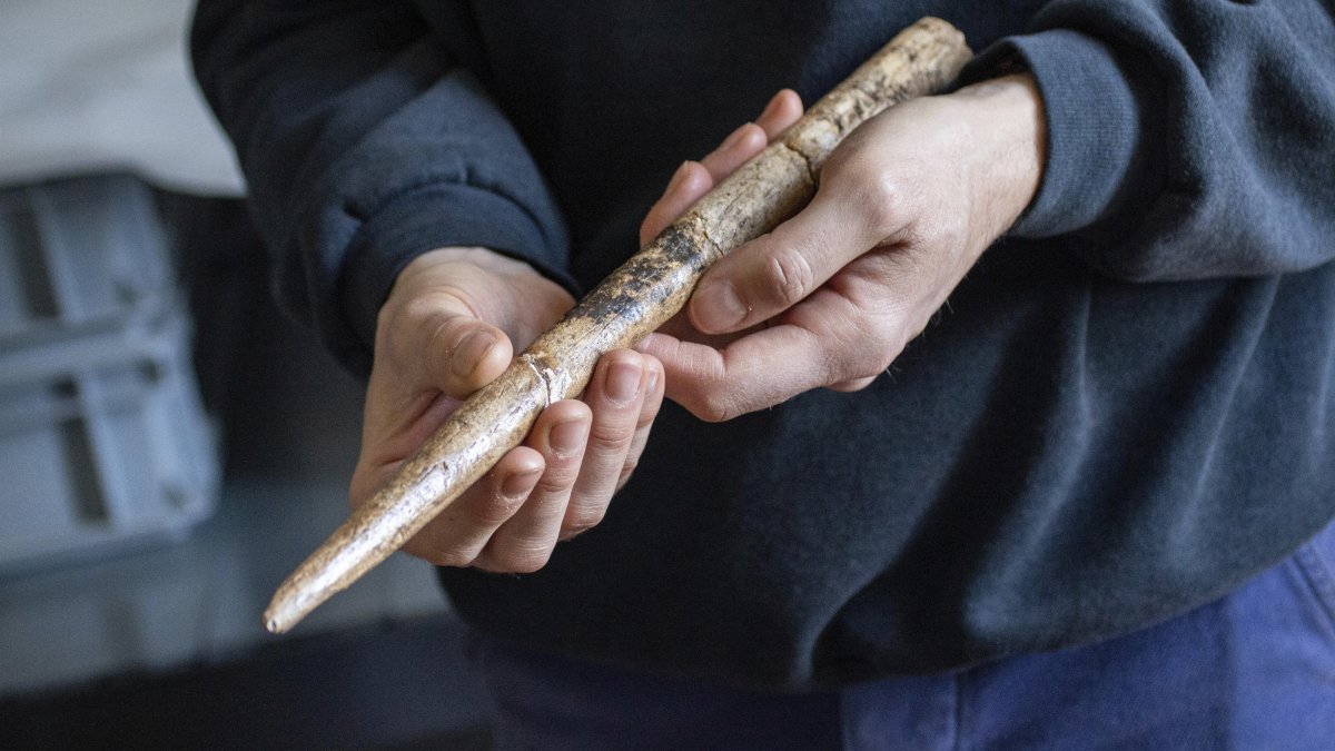 This image provided by Alexandre Lefebvre shows a projectile made from gray whale bone, dating back to about 18,000 years ago, in Abbaye d'Arthous, France, in March 2021. (Alexandre Lefebvre via AP)
