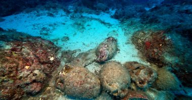 Archaeological remnants of a shipwreck and artifacts off the coast of Besmi Island, Antalya, Türkiye, May 3, 2025. (AA Photo)