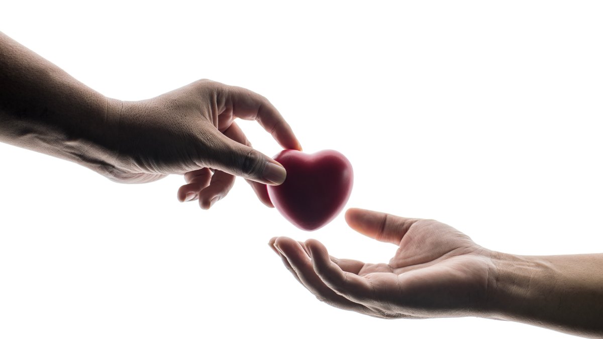 World Blood Donor Day was established to honor those who give blood voluntarily and unpaid and to encourage others to join them. (Shutterstock Photo)