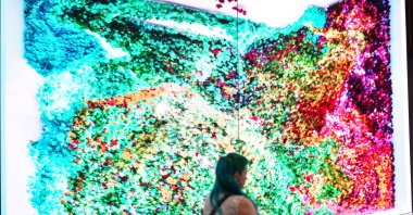 A visitor explores the Digital Art Festival, Istanbul, Türkiye, June 11, 2025. (AA Photo)