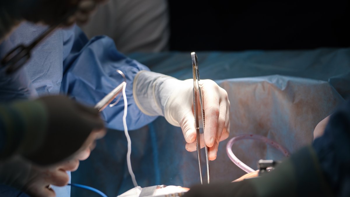 Despite a growing number of organ donations, Türkiye still performs only 40 to 45 heart transplants annually. (Shutterstock Photo)