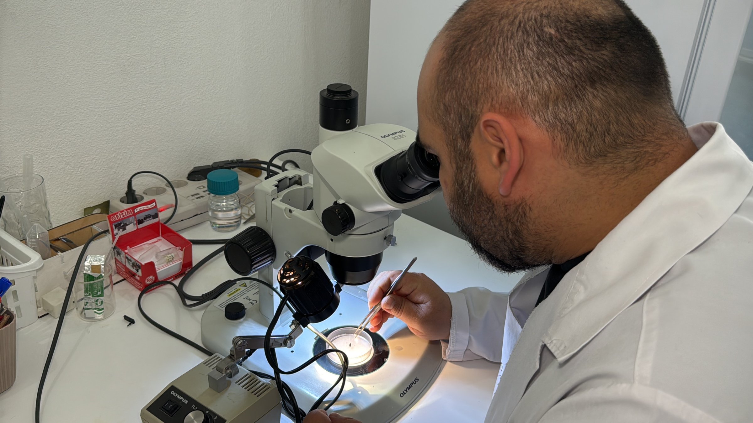Professor Adem Keskin examines a tick specimen under a microscope during laboratory research at Tokat Gaziosmanpaşa University, Tokat, Türkiye, June 17, 2025. (IHA Photo)