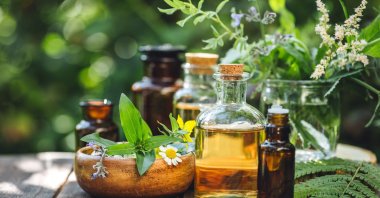 In a world overwhelmed by constant noise, relentless speed and pervasive artificiality, the gentle whisper of nature’s fragrances offers a much-needed and restorative pause. (Shutterstock Photo)